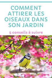 Comment Attirer Les Oiseaux Dans Son Jardin Jardins Potager Facile Astuce Jardin