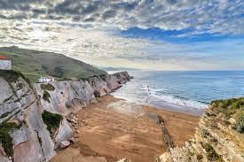 Hori bai, zorte pixka bat beharko duzu… ¿sabías que en zumaia puedes avistar cetáceos? Zumaia Mucho Mas Alla Del Flysch