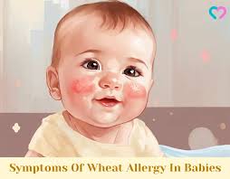 4 Worrisome Symptoms Of Wheat Allergy In Babies/Infants