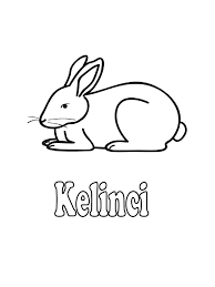 21 cara menggambar kelinci dengan mudah. Mewarnai Kelinci Rabbit Ø£Ø±Ù†Ø¨