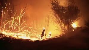 Existen varias tipologías para definir los tipos y clases de incendios. Decenas De Desaparecidos En Varios Incendios En La Patagonia Argentina