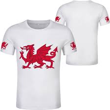 Wales has over 1,680 miles (2,700 km) of coastline and is largely mountainous with its higher peaks in the north and. Wales Flag à¸£à¸²à¸„à¸²à¸– à¸ à¸‹ à¸­à¸­à¸­à¸™à¹„à¸¥à¸™ à¸— Lazada Co Th