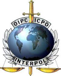 We did not find results for: Interpol Ace Attorney Wiki Fandom