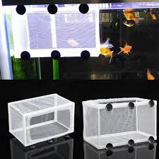 We did not find results for: Buy Aquarium Fish Tank Guppy Breeder Breeding Tray Net Baby Fry Newborn Box Hatchery At Affordable Prices Free Shipping Real Reviews With Photos Joom