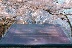 Maybe you would like to learn more about one of these? Cherry Blossom In Portland Top Spots For Early Spring Flowers