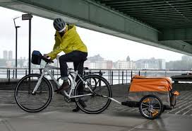 Packesel Auf Radern Kinderwagen Packen Fahrrad