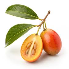 Image result for Ximenia