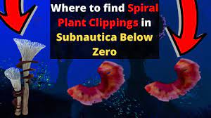 Where To Get Spiral Plant Clippings In Subnautica Below Zero Youtube