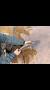 Video for Reel Deal Lake Whitney Striper Guide