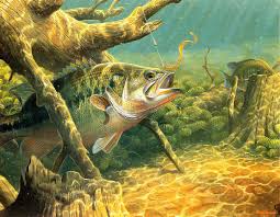 We have about (386) fishing sports wallpapers in jpg format. Fishing Desktop Backgrounds Group 75