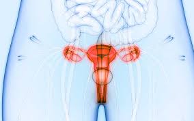 How do i know if i have hpv? Cervical Cancer Symptoms Prevention And Treatment
