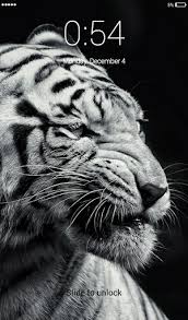 Download and use 10,000+ screen saver stock photos for free. Download White Tigers Lock Screen Wallpaper Free For Android White Tigers Lock Screen Wallpaper Apk Download Steprimo Com