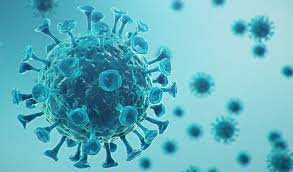 Schedule an appointment online, book online. Myths Facts About Covid 19 Coronavirus Disease 2019 Cleveland Clinic Abu Dhabi