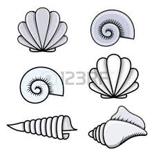 Set Of Sea Shells Doodle Seashell Drawing Shell Drawing Seashells Cartoon Blue background with sea shells. sea shells doodle seashell drawing