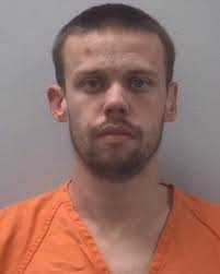 Lexington County Mug Shots: December 19, 2012