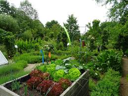 Botanischer garten hamburg is a botanic garden in hamburg, germany. Im Kreislehrgarten Oberhaid Ist Auch Platz Fur Wilde Ecken Vielfaltsmacher