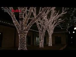 How To Wrap Trees With Christmas Lights Christmas Light Decorators Youtube Christmas Lights Outdoor Trees Outdoor Xmas Lights Red Christmas Lights