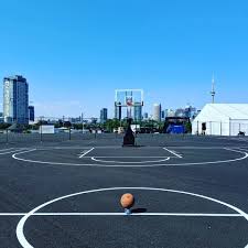 The garden features a goldfish pond in the sitting area. Top 5 Basketball Courts In Toronto Courts Of The World
