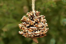 How much you need will depend on how many feeders you are making. How To Make Pinecone Bird Feeders One Little Project