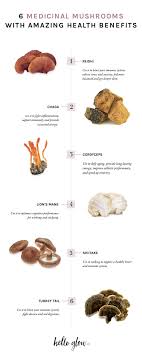 Hort innovation is requesting this information from you so that we can send you information from our australian mushrooms website, including new recipes and campaign updates. A Holistic Nutritionist Explains 6 Adaptogenic Mushrooms Their Amazing Health Benefits Hello Glow