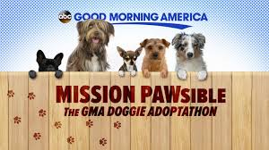 Browse indy events, attractions, restaurants, shopping and hotels. Gma Doggie Adoptathon List Of Participating Shelters Across The Country Abc News