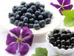 Image result for how to start low carb diet