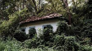 Search over 1,705 flats and houses for sale from owners, estate agents and developers in england. The People Who Moved To Chernobyl Bbc News