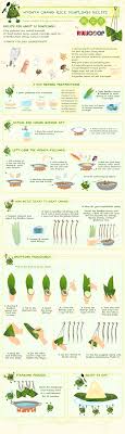 recipe for nyonya rice dumplings infograph nyonya food dumplings dim sum recipes