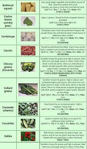 I am looking for some specific information on bearded dragons and being able to put cacti in the viv? Food List Pg2 Bearded Dragon Food Bearded Dragon Diet Bearded Dragon Care
