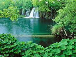 Download ultra hd 4k wallpapers in 3840x2160 hd widescreen 4k uhd 5k 8k ultra hd resolutions 49 Free 3d Nature Wallpaper On Wallpapersafari