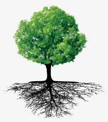 The Roots Of Trees Tree Trees Root Png Transparent Clipart Image And Psd File For Free Download Roots Tree Clipart Images