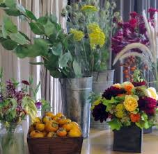 Check spelling or type a new query. Blue Planet Garden Blog Almost Wordless Wednesday Lila B Designs