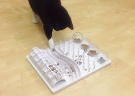 Making a cat puzzle feeder. Diy Food Puzzles For Cats Modern Cat