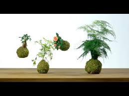 Tuto Pour Fabriquer Votre Kokedama Avec Jardiland Diy Creatif Et Curieux Vous Etes Toujours A La Recherche Comment Fabriquer Un Jardin De Mousse Deco Jardin