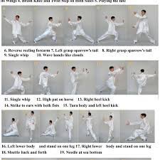 We did not find results for: 24 Forms Simplified Tai Chi Chuan Download Scientific Diagram