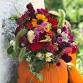 SAVE THE DATE - Blooms 'n Brewswith Pumpkins event image