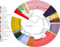 Published on o'loughlin, who played 303 games for the club and kicked 521. Benchmarking Microbial Growth Rate Predictions From Metagenomes The Isme Journal