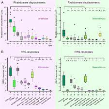 Read popular r18 stories on webnovel, we provide 10000+ r18 novels, fiction books, comics for you to select. Binocular Mirror Symmetric Microsaccadic Sampling Of Hyperacute 3d Vision Biorxiv