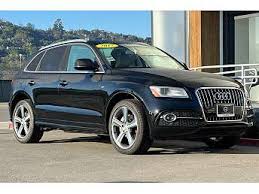 Image result for Suzuka Gray 2017 Q5