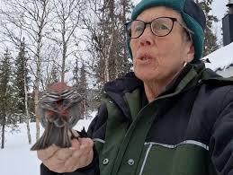 🌲🌲🌲En underbar stund i skogen 🌲🌲🌲, Ett tallbitspar som gör ett av  sina besök., Hanen äter först och honan väntar tålmodigt., Hon sätter sig  på min mobil som jag filmar med och talar med honom att han ...