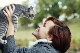 Katzen sind anspruchsvolle mitbewohner und bei der haltung und pflege von katzen in der wohnung gibt es einiges zu aber immerhin ist die katzenhaltung die wohl süßeste herausforderung der welt. Katzenhaltung 10 Fragen Vor Dem Katzenkauf Deinetierwelt Magazin