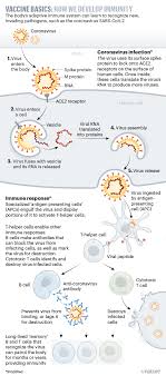 Find a new york state operated vaccination site and get vaccinated. The Race For Coronavirus Vaccines A Graphical Guide