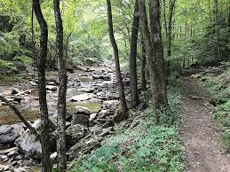 Is there a footbridge over glade creek? Glade Creek Hike
