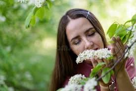 Retrato De Cierre Del Gato De Tabby Con Ojos Verdes Asombrosos Mirando En  Cámara Sobre Fondo Negro Aislado Foto de archivo