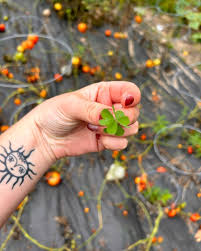 Summer Burk (@summer.iris.b) • Instagram photos and videos