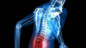 Check spelling or type a new query. 8 Things That Can Be Treated By A Chiropractor