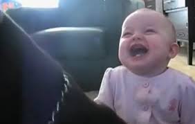 Flagra Bebe Tem Ataque De Riso Ao Ver Cao Da Familia Comer Pipoca Revista Globo Rural Planeta Bicho