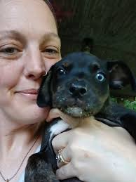 Timber and I have been reunited.❤️ Finally found him between the Cajun  Restaurant and McDonald's. We are now at the Vet. He is getting X-rays,  ultrasound and bloodwork done. I can honestly