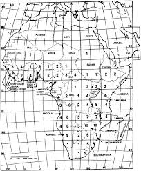 Image result for Raphionacme monteiroae