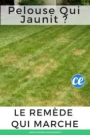 Pelouse Qui Jaunit Le Remede Naturel Qui Marche Pelouse Entretien Pelouse Entretien Jardin